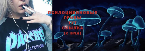 стафф Елизово