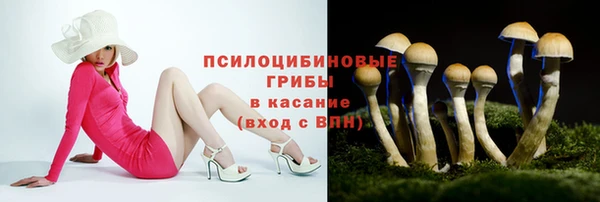 ПСИЛОЦИБИНОВЫЕ ГРИБЫ Баксан