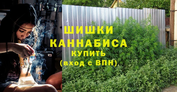 ПСИЛОЦИБИНОВЫЕ ГРИБЫ Баксан