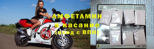 ПСИЛОЦИБИНОВЫЕ ГРИБЫ Баксан